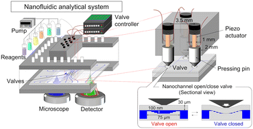 Graphical abstract: Nanofluidic analytical system integrated with nanochannel open/close valves for enzyme-linked immunosorbent assay