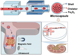 Graphical abstract: Magnetic delivery and ultrasound-responsive release of chelating microcapsules for selective removal of urolithiasis