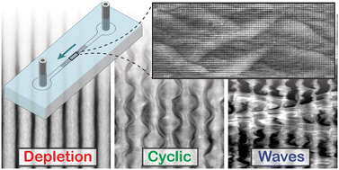 Graphical abstract: Short and long-range cyclic patterns in flows of DNA solutions in microfluidic obstacle arrays