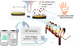 Graphical abstract: A cost-effective smartphone-based device for rapid C-reaction protein (CRP) detection using magnetoelastic immunosensor