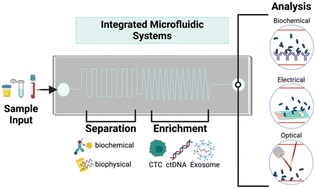 Graphical abstract: Integrated “lab-on-a-chip” microfluidic systems for isolation, enrichment, and analysis of cancer biomarkers