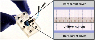 Graphical abstract: Organ-on-a-chip with integrated semitransparent organic electrodes for barrier function monitoring