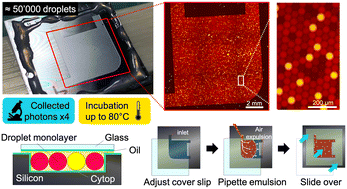 Graphical abstract: Silicon chambers for enhanced incubation and imaging of microfluidic droplets