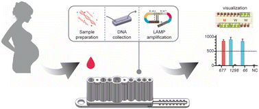 Graphical abstract: A fully integrated nucleic acid analysis system for multiplex detection of genetic polymorphisms related to folic acid metabolism