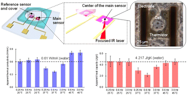 Graphical abstract: Measurement of cellular thermal properties and their temperature dependence based on frequency spectra via an on-chip-integrated microthermistor