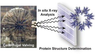 Graphical abstract: Polymer-based microfluidic device for on-chip counter-diffusive crystallization and in situ X-ray crystallography at room temperature