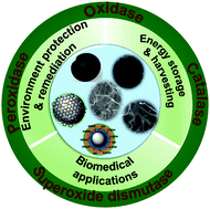 Graphical abstract: Prospects of nano-carbons as emerging catalysts for enzyme-mimetic applications