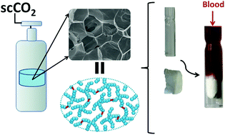 Graphical abstract: Supercritical CO2 blown poly(ε-caprolactone) covalent adaptable networks towards unprecedented low density shape memory foams