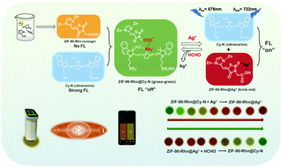 Graphical abstract: A one-pot strategic construction of functionalized nanomaterial ZIF-90-Rhn for stepwise detection and capturing of Ag+ and formaldehyde from an aqueous solution