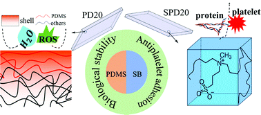 Graphical abstract: Preparation and characterisation of zwitterionic sulfobetaine containing siloxane-based biostable polyurethanes