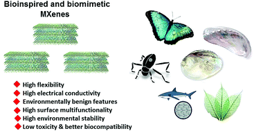 Graphical abstract: Bioinspired and biomimetic MXene-based structures with fascinating properties: recent advances