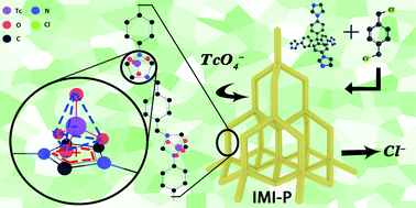 Graphical abstract: A hydrophobic imidazolium cationic framework for selective adsorption of TcO4−/ReO4− from aqueous solutions