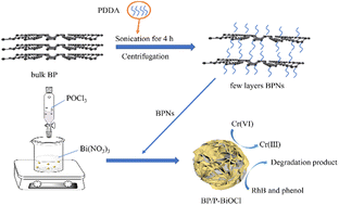 Graphical abstract: Construction of novel flower-like functionalized black phosphorus nanosheets/P-doped BiOCl S-scheme photocatalysts with improved photocatalytic activity in RhB and Cr(vi) degradation