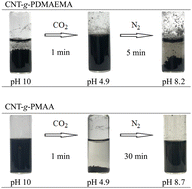 Graphical abstract: Two-way CO2-responsive dispersions of carbon nanotubes in water