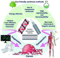 Graphical abstract: Eco-friendly synthesis of carbon nanotubes and their cancer theranostic applications