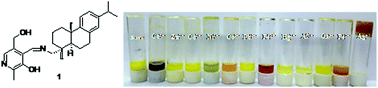 Graphical abstract: Pyridoxal-based low molecular weight progelator as a new chemosensor for the recognition of Ag+ and Hg2+ under different conditions