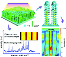 Graphical abstract: An efficient dual functional Raman and Fluorescence detection platform achieved by controlling the electromagnetic enhanced field in three-dimensional Ag/ZnO composited arrays