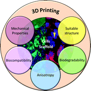Graphical abstract: The importance of structure property relationship for the designing of biomaterials using liquid crystal elastomers