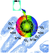 Graphical abstract: Photoactivated carbon dots inducing bacterial functional and molecular alterations