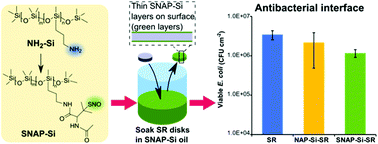 Graphical abstract: S-Nitroso-N-acetylpenicillamine grafted silicone oil for antibacterial interface applications