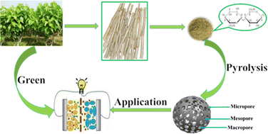 Graphical abstract: High-performance supercapacitors based on amorphous carbon derived from natural Ramulus mori