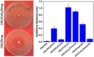 Graphical abstract: Nanoceria–nanocellulose hybrid materials for delayed release of antibiotic and anti-inflammatory medicines