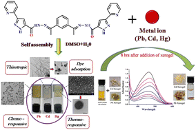 Graphical abstract: Toxic metal–organic gels using a unique pyridine–pyrazole based ligand with Pb(ii), Cd(ii) and Hg(ii) salts: multi-stimuli responsiveness and toxic dye adsorption