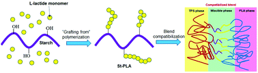 Graphical abstract: Robust and high barrier thermoplastic starch – PLA blend films using starch-graft-poly(lactic acid) as a compatibilizer