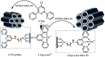 Graphical abstract: A sensitive fluorescent sensor based on terpyridine@Zn2+-modified mesoporous silica for the detection of sulfonamide antibiotics