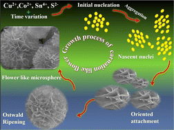 Graphical abstract: Morphological evolution of carnation flower-like Cu2CoSnS4 battery-type electrodes
