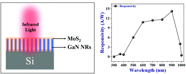 Graphical abstract: Pulsed laser deposition for conformal growth of MoS2 on GaN nanorods for highly efficient self-powered photodetection
