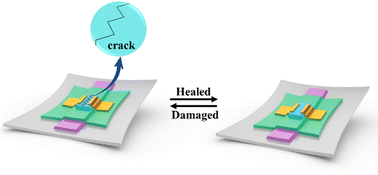 Graphical abstract: From stretchable and healable to self-healing semiconducting polymers: design and their TFT devices