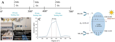 Graphical abstract: Urea-assisted synthesis of carbon-doped BiNbO4 with oxygen vacancies and visible light photocatalytic applications