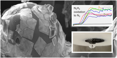 Graphical abstract: Lanthanoid coordination compounds as diverse self-templating agents towards hierarchically porous Fe–N–C electrocatalysts