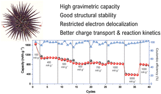 Graphical abstract: Sea-urchin-like iron-cobalt phosphide as an advanced anode material for lithium ion batteries
