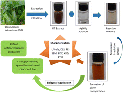 Graphical abstract: Microwave-assisted green synthesis of Desmodium triquetrum-mediated silver nanoparticles: enhanced antibacterial, antibiofilm, and cytotoxicity activities against human breast cancer cell lines