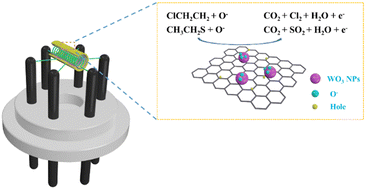 Graphical abstract: A 2-chloroethyl ethyl sulfide (2-CEES) gas sensor based on a WO3/graphite nanocomposite with high selectivity and fast response-recovery properties