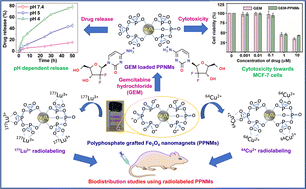 Graphical abstract: Surface engineered Fe3O4 nanomagnets for pH-responsive delivery of gemcitabine hydrochloride and in vivo tracking by radiolabeling