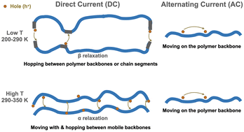 Graphical abstract: Dependence of charge carrier transport on molecular relaxations in glassy poly(3-hexylthiophene-2,5-diyl) (P3HT)