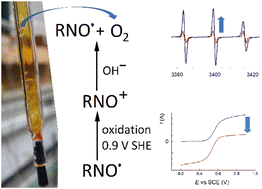 Graphical abstract: Water oxidation at low potential exploiting a nitroxide/oxoammonium ion redox couple as mediator
