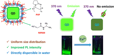 Graphical abstract: Highly stable and water dispersible polymer-coated CsPbBr3 nanocrystals for Cu-ion detection in water