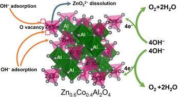 Graphical abstract: Effects of cation vacancies at tetrahedral sites in cobalt spinel oxides on oxygen evolution catalysis