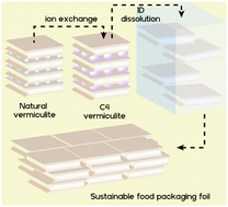 Graphical abstract: Spontaneous delamination of affordable natural vermiculite as a high barrier filler for biodegradable food packaging