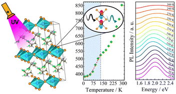 Graphical abstract: Exciton–phonon coupling in alanine-based hybrid lead bromide