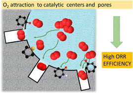 Graphical abstract: The extent of carbon surface oxygen affinity and its effects on the activity of metal-free carbon catalysts in the oxygen reduction reaction: the interplay of porosity and N-, O- and S-enriched surface chemistry