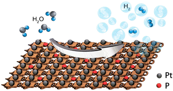 Graphical abstract: Phosphorus-modified Pt@Cu surfaces for efficient electrocatalysis of hydrogen evolution
