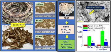 Graphical abstract: Hop natural fiber-reinforced poly(butylene succinate-co-butylene adipate) (PBSA) biodegradable plastics: effect of fiber length on the performance of biocomposites