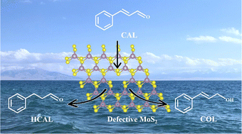 Graphical abstract: Vapor-phase hydrothermal construction of defective MoS2 for highly selective electrocatalytic hydrogenation of cinnamaldehyde