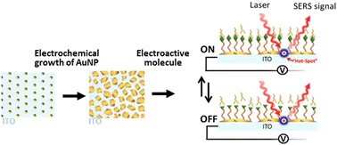 Graphical abstract: Electroactive substrates for surface-enhanced Raman spectroscopy based on overgrown gold-nanoparticle arrays by electrodeposition on indium tin oxide
