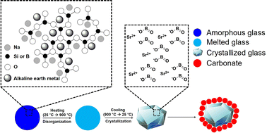 Graphical abstract: Crystallized glass tailored by controlled heat treatment for carbon dioxide capture under mild conditions